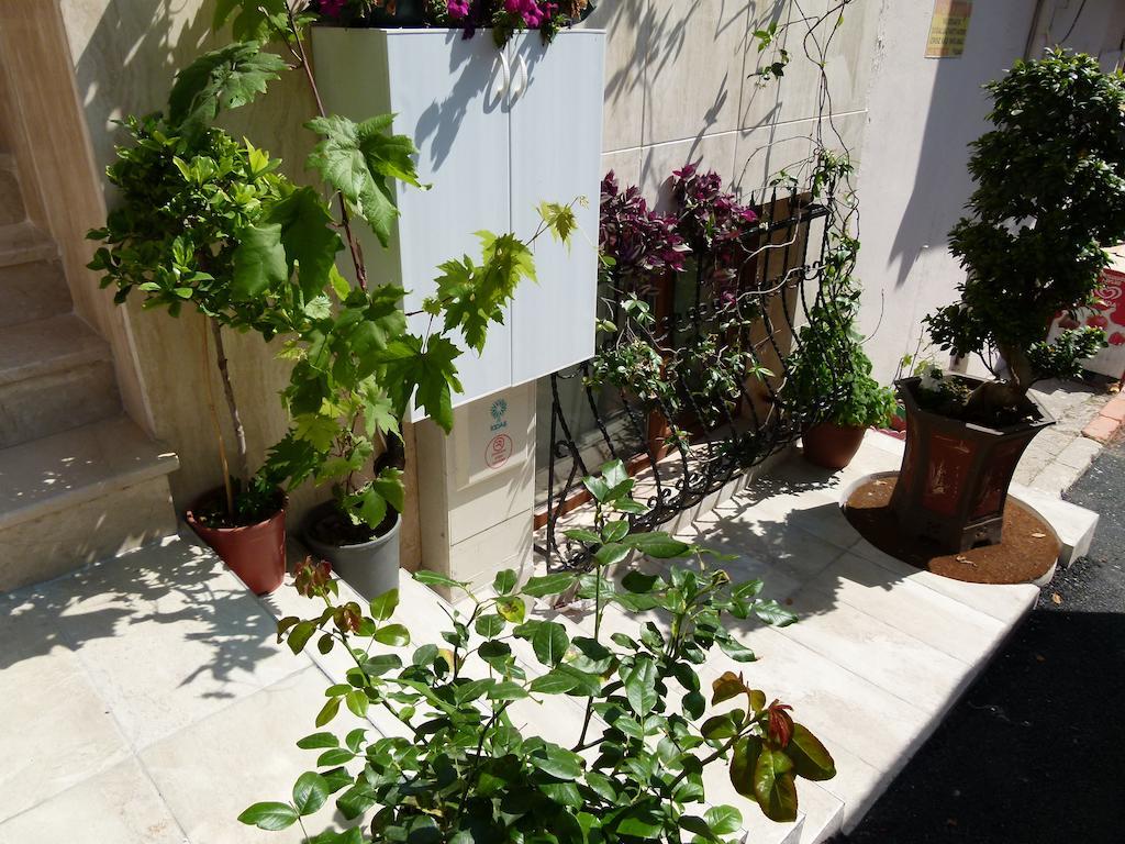 New House Istanbul
